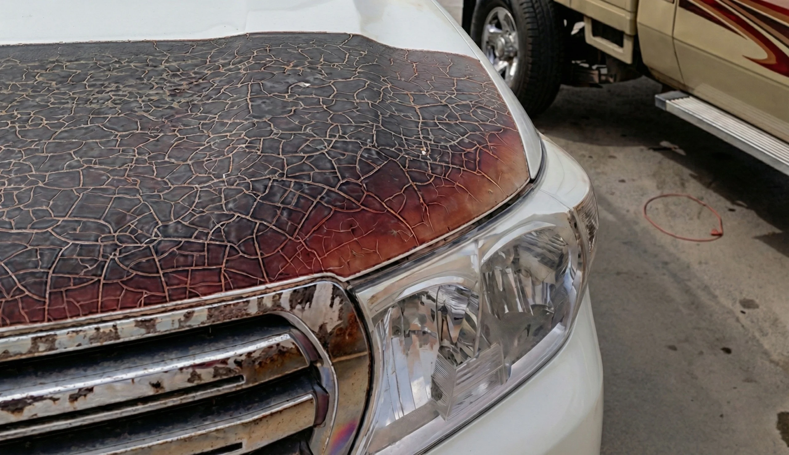 ضمانات مزيفة