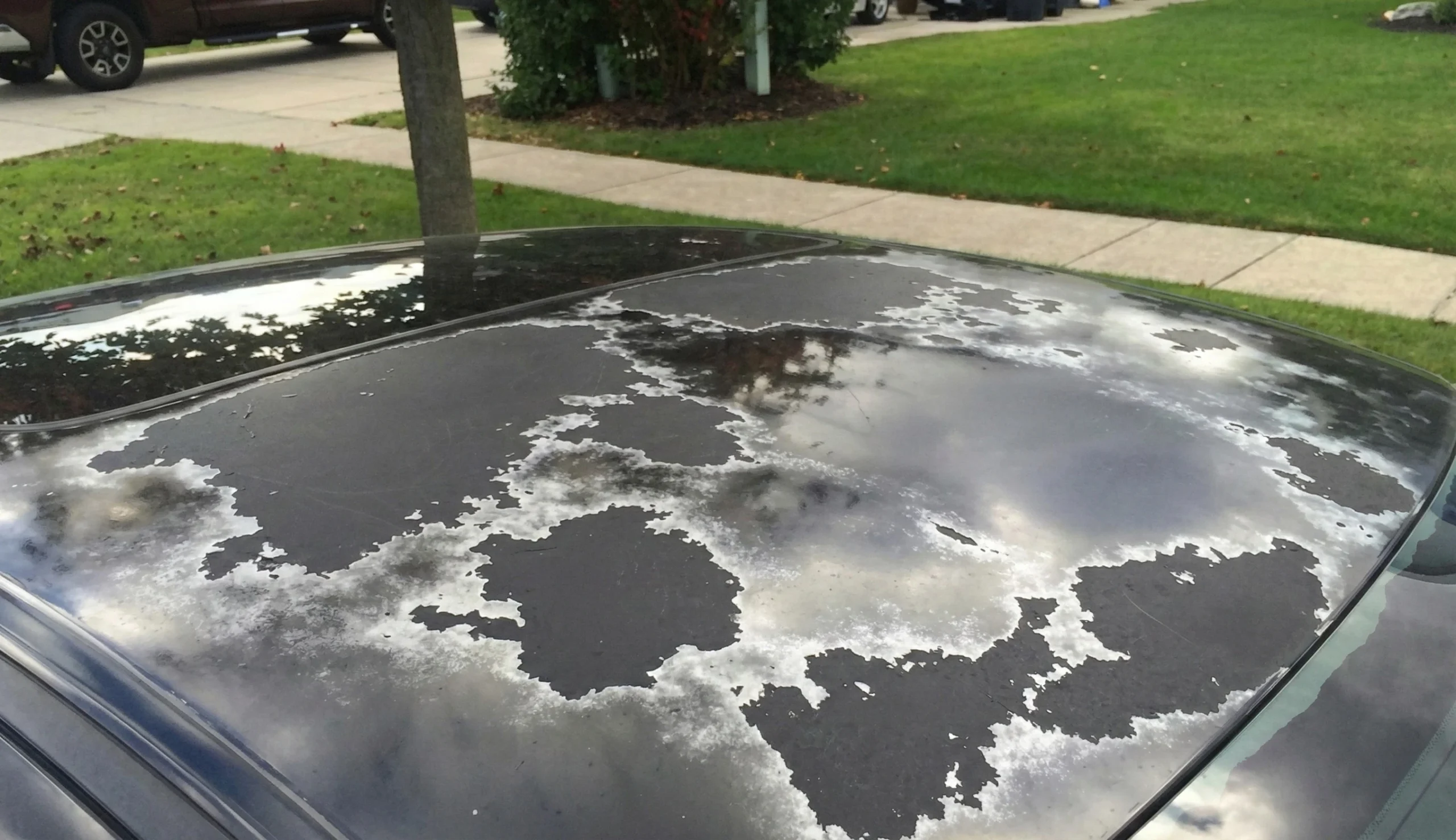 طبقة اللكر متغيرة